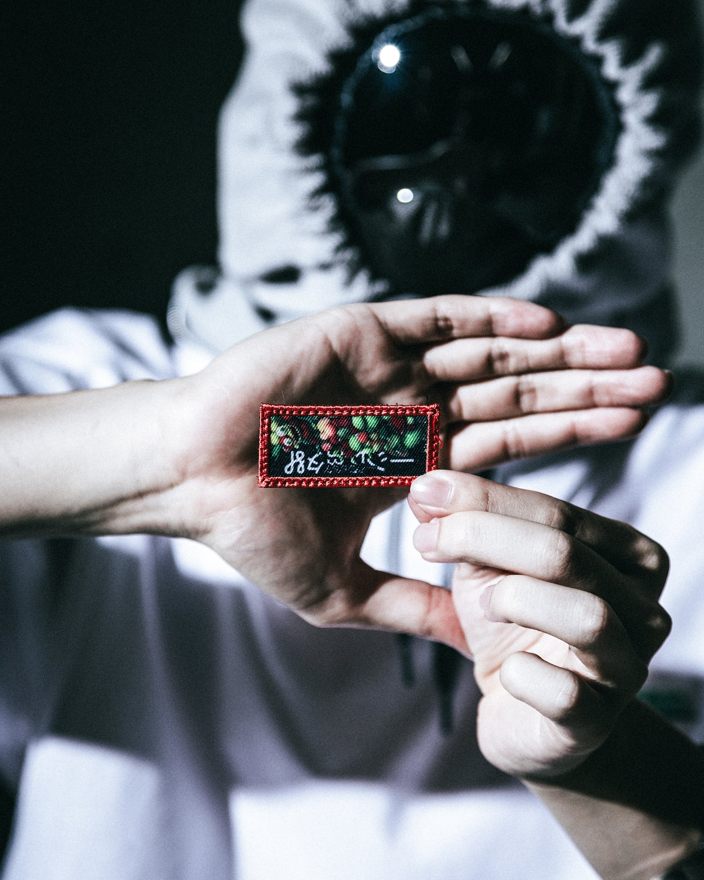 アバターワッペン/FRUITS